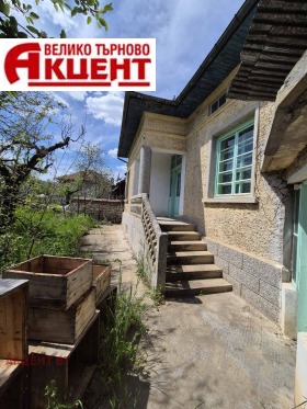 ������ ������� ����