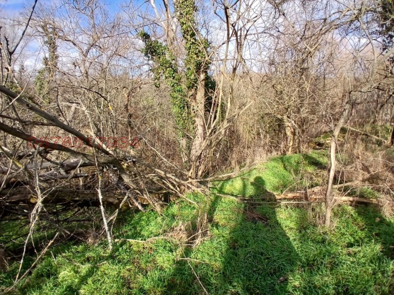 Продава КЪЩА, с. Отец Паисиево, област Пловдив, снимка 6 - Къщи - 53419000