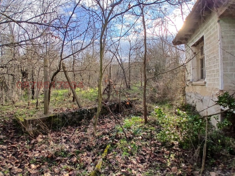 Продава КЪЩА, с. Отец Паисиево, област Пловдив, снимка 3 - Къщи - 53419000