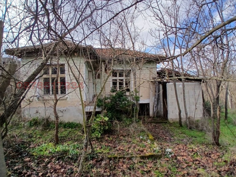 Продава КЪЩА, с. Отец Паисиево, област Пловдив, снимка 2 - Къщи - 53419000