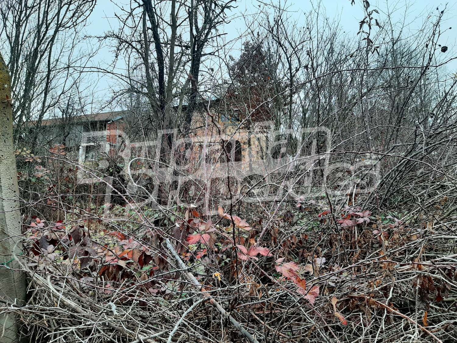 Продава КЪЩА, с. Драшкова поляна, област Ловеч, снимка 2 - Къщи - 39324123