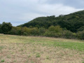 Продава ПАРЦЕЛ, с. Лясково, област Стара Загора, снимка 2