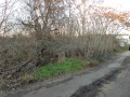 Продава ПАРЦЕЛ, с. Червенци, област Варна, снимка 4