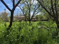 Продава  Къща област Велико Търново , с. Хотница , 80 кв.м | 26786448 - изображение [8]