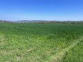 Продава ПАРЦЕЛ, област Варна, с. Осеново • 385000 € • 24548901 — Holmes.bg