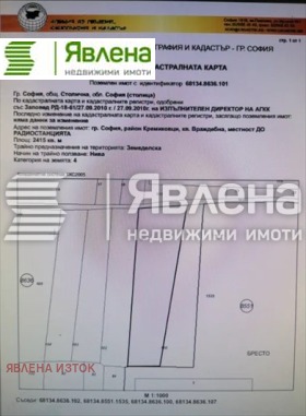 ����� ������� ������,���� �����, ������ �