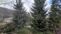Продава  Къща град София , с. Бистрица , 296 кв.м | 80109133 - изображение [14]