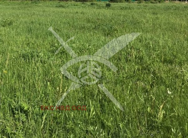 Продава ПАРЦЕЛ, област Пловдив, с. Брестник • 80000 € • 76972876 — Holmes.bg