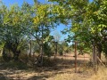 Продава ПАРЦЕЛ, гр. Каварна, област Добрич, снимка 3