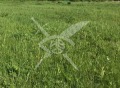 Продава ПАРЦЕЛ, област Пловдив, с. Брестник • 80000 € • 76972876 — Holmes.bg