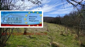 ����� ������� ������,�. ���������, ������ ������