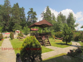 ������ ������� ������ ����