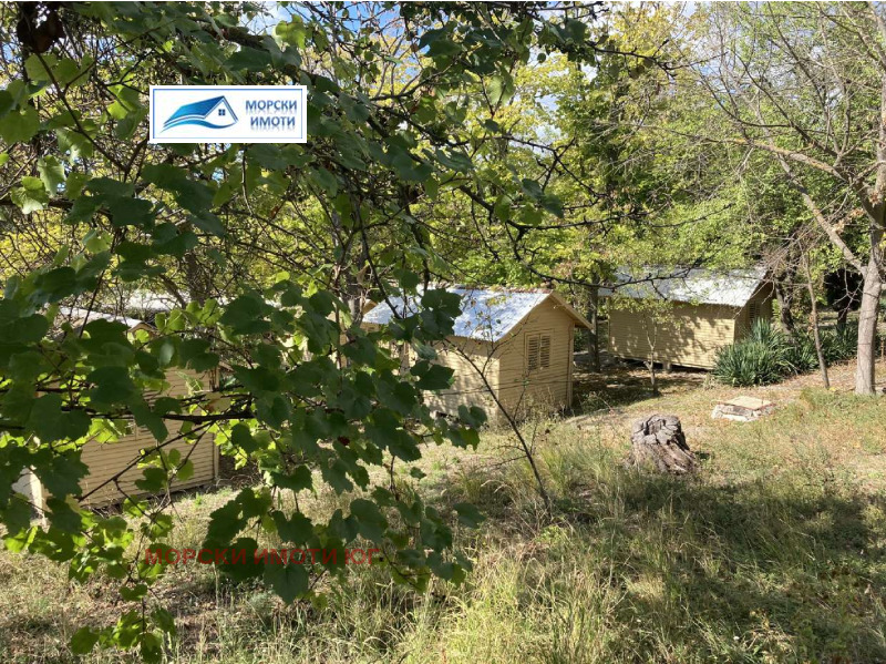 Til salgs  Plott region Dobrich , Balsjik , 6000 kvm | 12299404 - bilde [11]