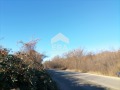 Продава  Парцел град Стара Загора , Железник - център , 5811 кв.м | 33573497 - изображение [2]
