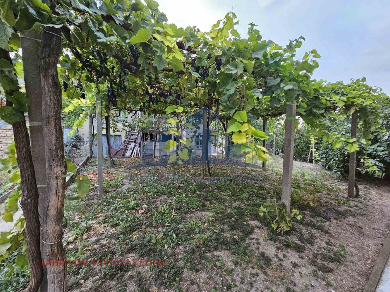 ������� ���� | Imot.bg � ����������� 8