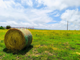 ������� ���� | Imot.bg � ����� ������ 15