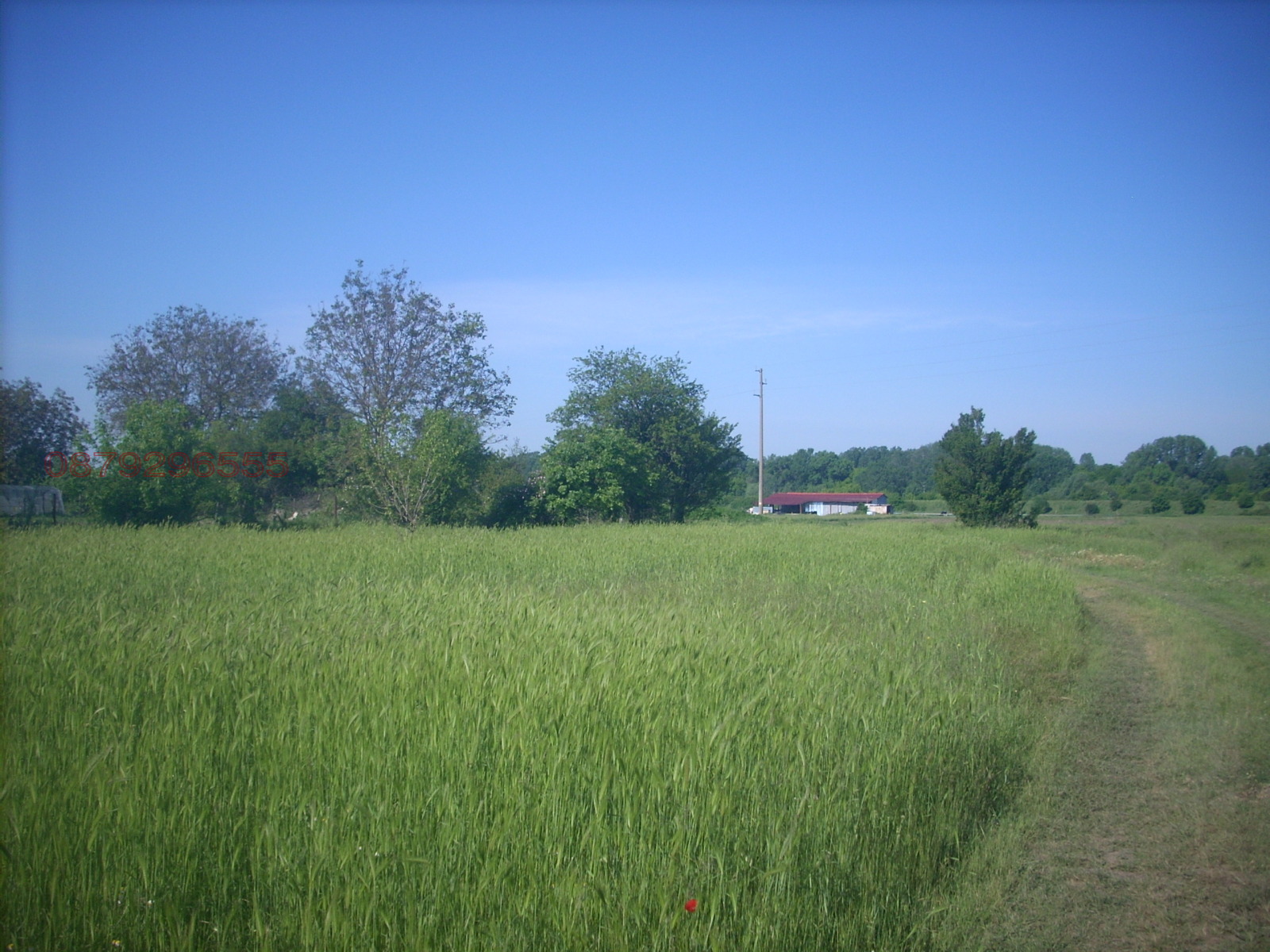 Продава ПАРЦЕЛ, с. Окоп, област Ямбол, снимка 5 - Парцели - 54136108