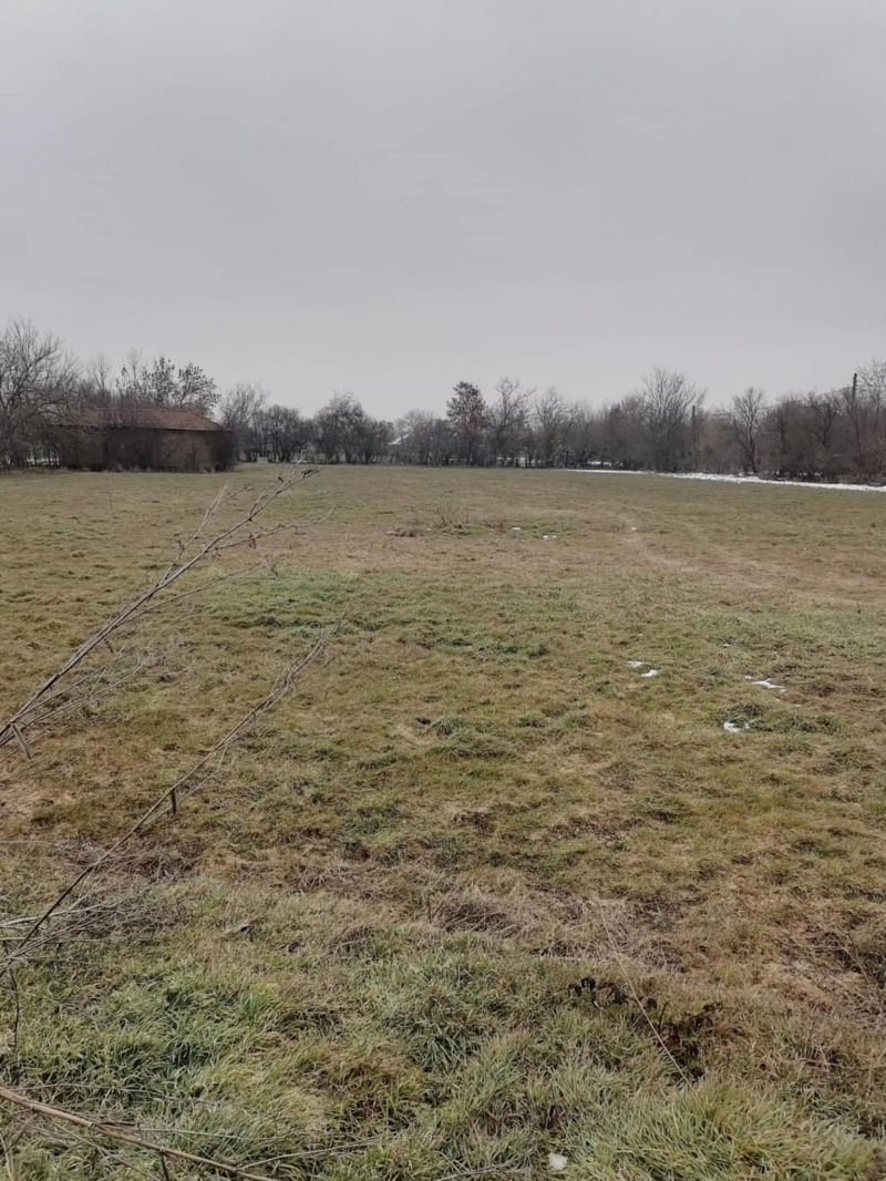 Продава ПАРЦЕЛ в област Стара Загора, с. Памукчии - 2295 кв.м / 21 200 € » 41 463.60 лв., АМБРОЗИЯ - 90