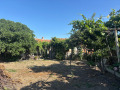 Продава КЪЩА, област Пловдив, с. Ръжево Конаре • 39800 € • 22033042 — Holmes.bg