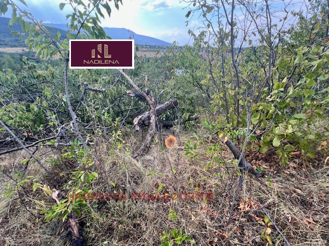 ������� ������ | Imot.bg � ����������� 11