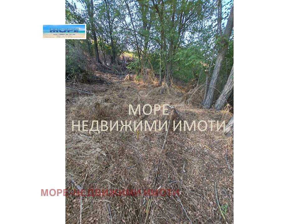 ������� ������ | Imot.bg � ����������� 2