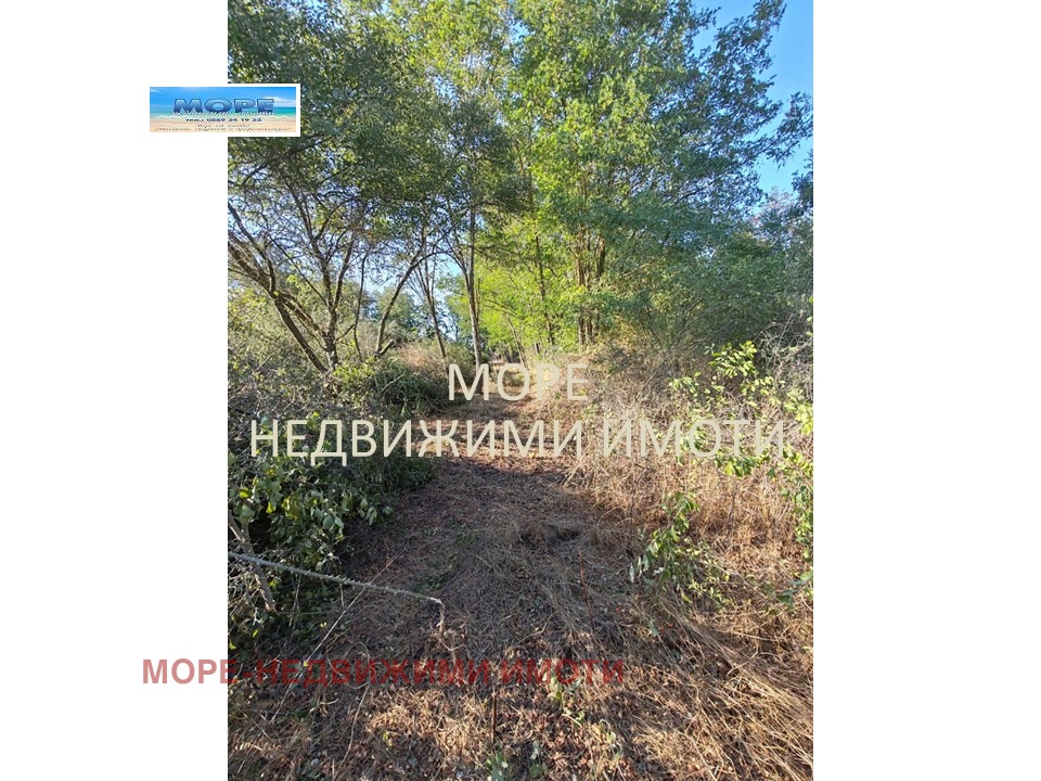 ������� ������ | Imot.bg � ����������� 8