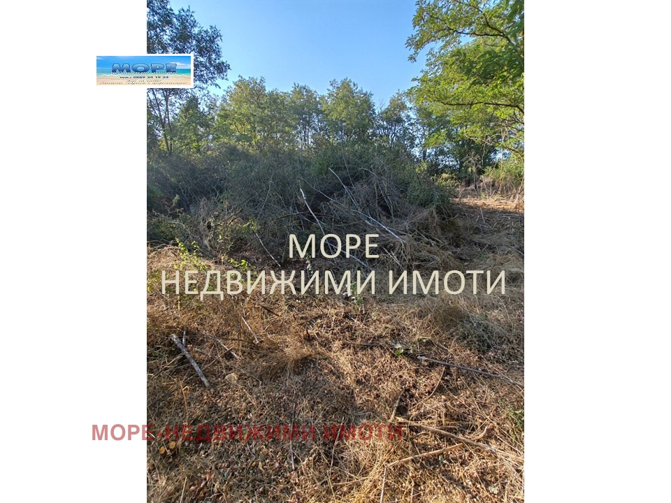 ������� ������ | Imot.bg � ����������� 7