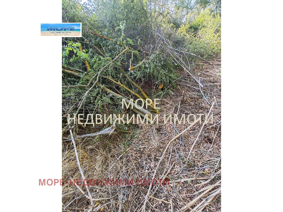 ������� ������ | Imot.bg � ����������� 3