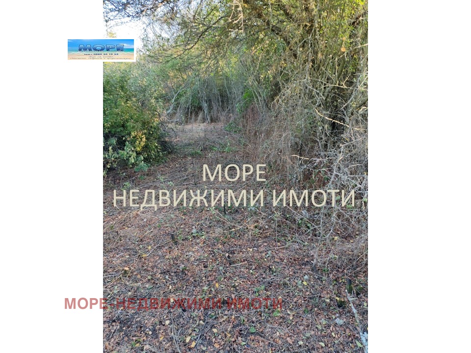 Продава ПАРЦЕЛ, с. Дюлево, област Бургас, снимка 12 - Парцели - 56256361