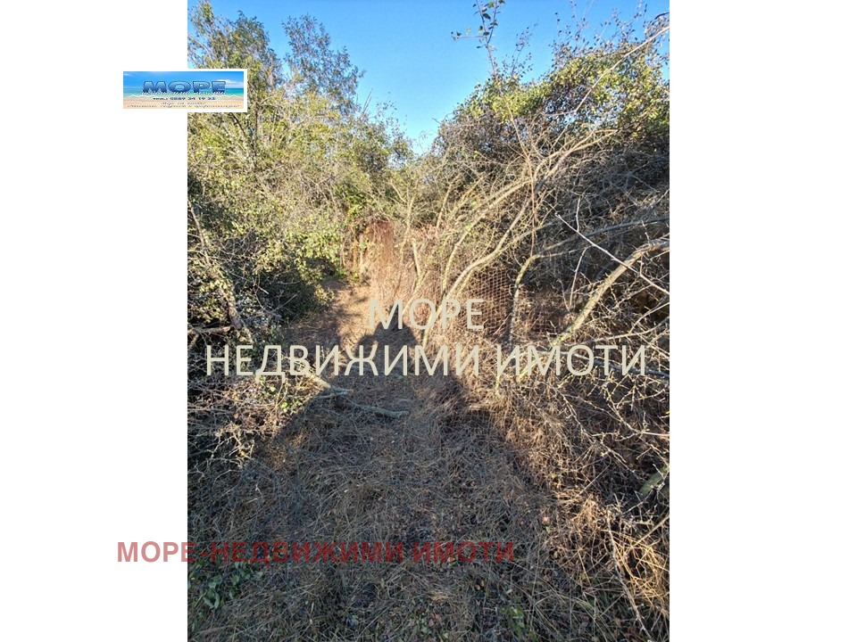 Продава ПАРЦЕЛ, с. Дюлево, област Бургас, снимка 9 - Парцели - 56256361