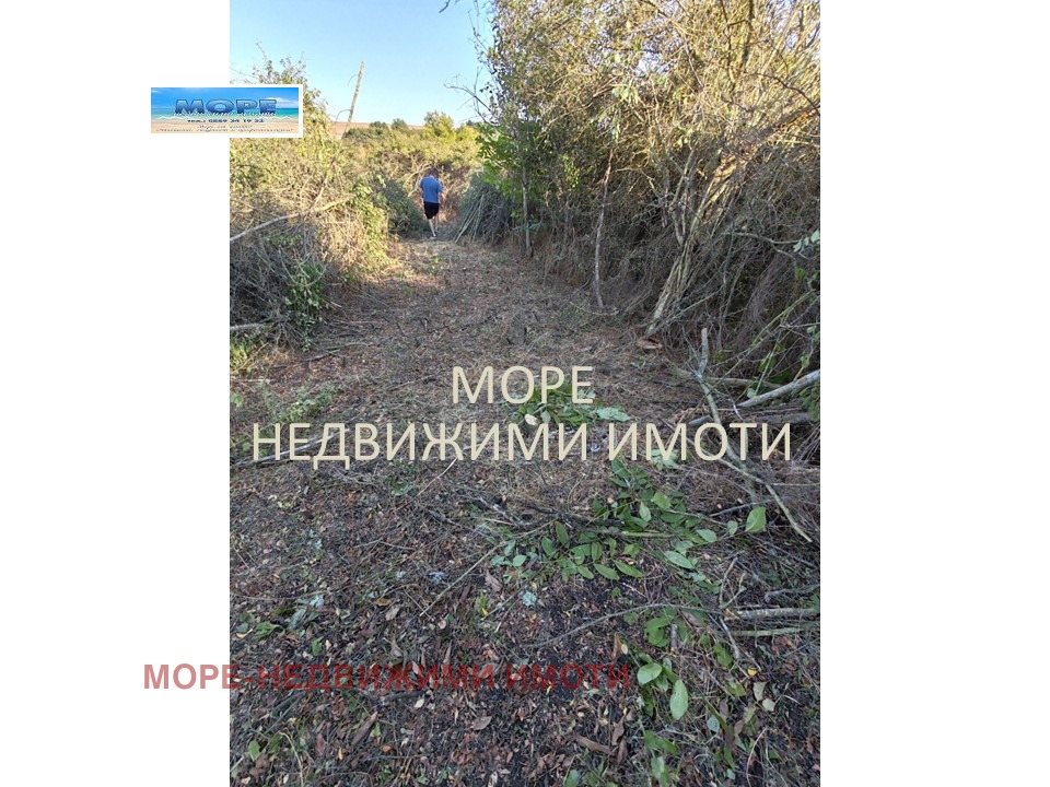 Продава ПАРЦЕЛ, с. Дюлево, област Бургас, снимка 11 - Парцели - 56256361