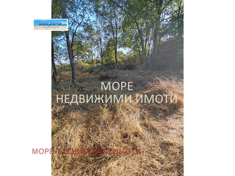Продава ПАРЦЕЛ, с. Дюлево, област Бургас