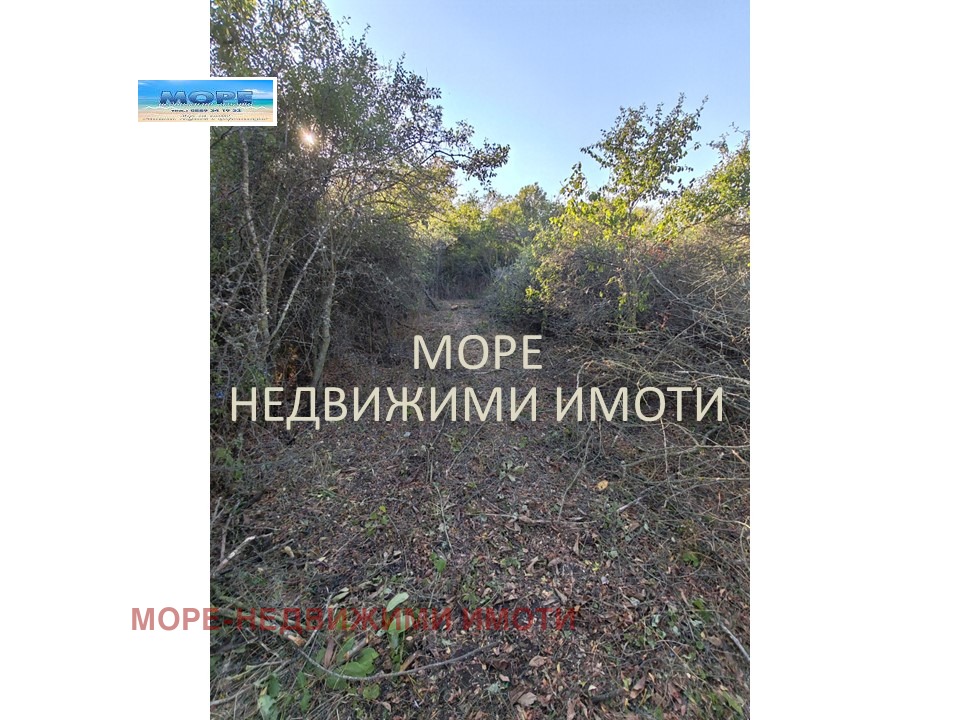 Продава ПАРЦЕЛ, с. Дюлево, област Бургас, снимка 10 - Парцели - 56256361