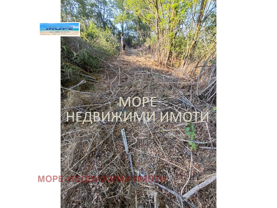 Продава ПАРЦЕЛ, с. Дюлево, област Бургас, снимка 4 - Парцели - 56256361