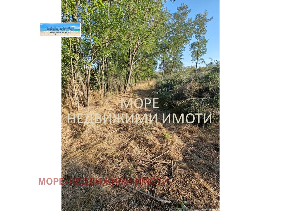 Продава ПАРЦЕЛ, с. Дюлево, област Бургас, снимка 5 - Парцели - 56256361
