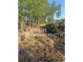 Продава ПАРЦЕЛ, с. Дюлево, област Бургас, снимка 5