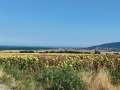 Продава ПАРЦЕЛ, с. Рогачево, област Добрич, снимка 5