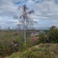 Продава  Парцел град София , с. Панчарево , 600 кв.м | 38192244 - изображение [2]