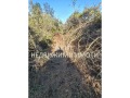 Продава  Парцел област Бургас , с. Дюлево , 1237 кв.м | 32426730 - изображение [9]