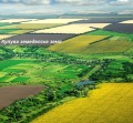 Продава ЗЕМЕДЕЛСКА ЗЕМЯ, с. Граничар, област Добрич, снимка 1 - Земеделска земя - 43660243