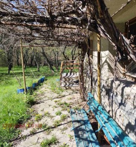 ������� ���� | Imot.bg � ����� ������ 5