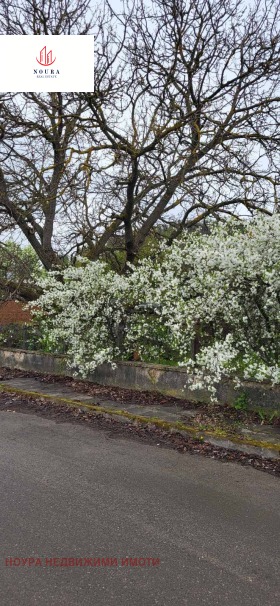 ������� ���� | Imot.bg � ����� ������ 10