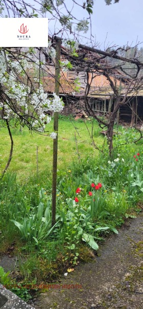 ������� ���� | Imot.bg � ����� ������ 11