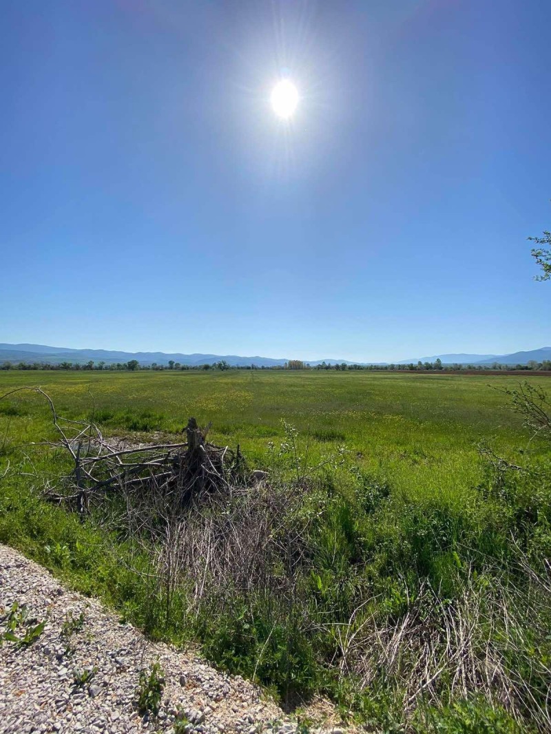 Продава ПАРЦЕЛ, гр. Долна баня, област София област, снимка 3 - Парцели - 52214500