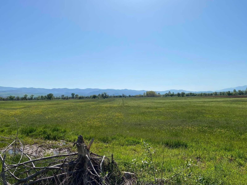 Продава ПАРЦЕЛ, гр. Долна баня, област София област, снимка 2 - Парцели - 52214500