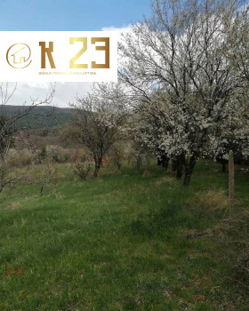 ������ ������� ������