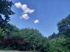 ������� ������ | Imot.bg � ����� ������ 5