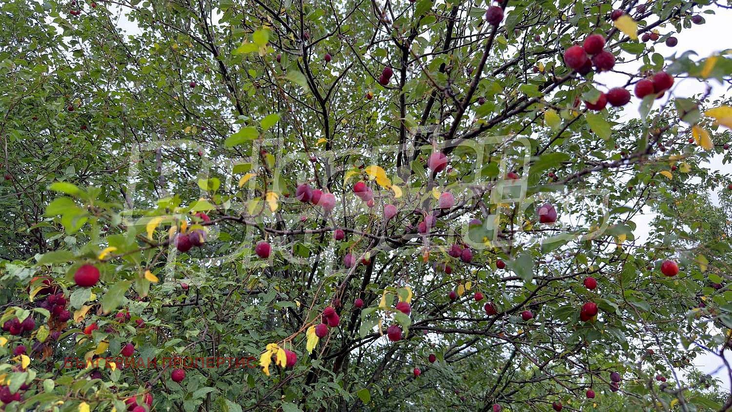 Продава ПАРЦЕЛ | Imot.bg — изображение 7