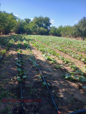 ������� ���� | Imot.bg � ����� ������ 6