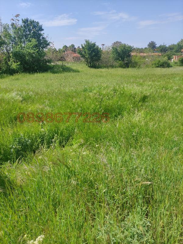 Продава ПАРЦЕЛ, с. Чоба, област Пловдив, снимка 2 - Парцели - 52783428